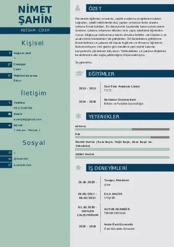 Ressam Cv Örnekleri cv indir